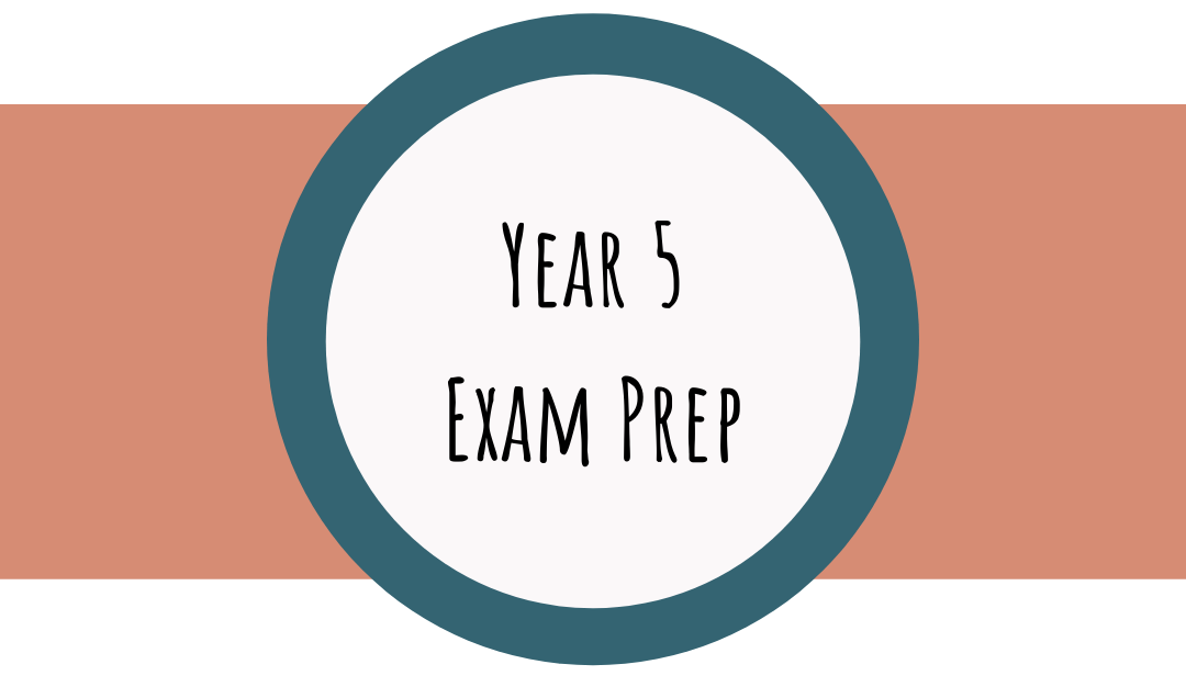 Bettering Youth's Year 5 exam preparation course