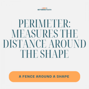 Perimeter definition